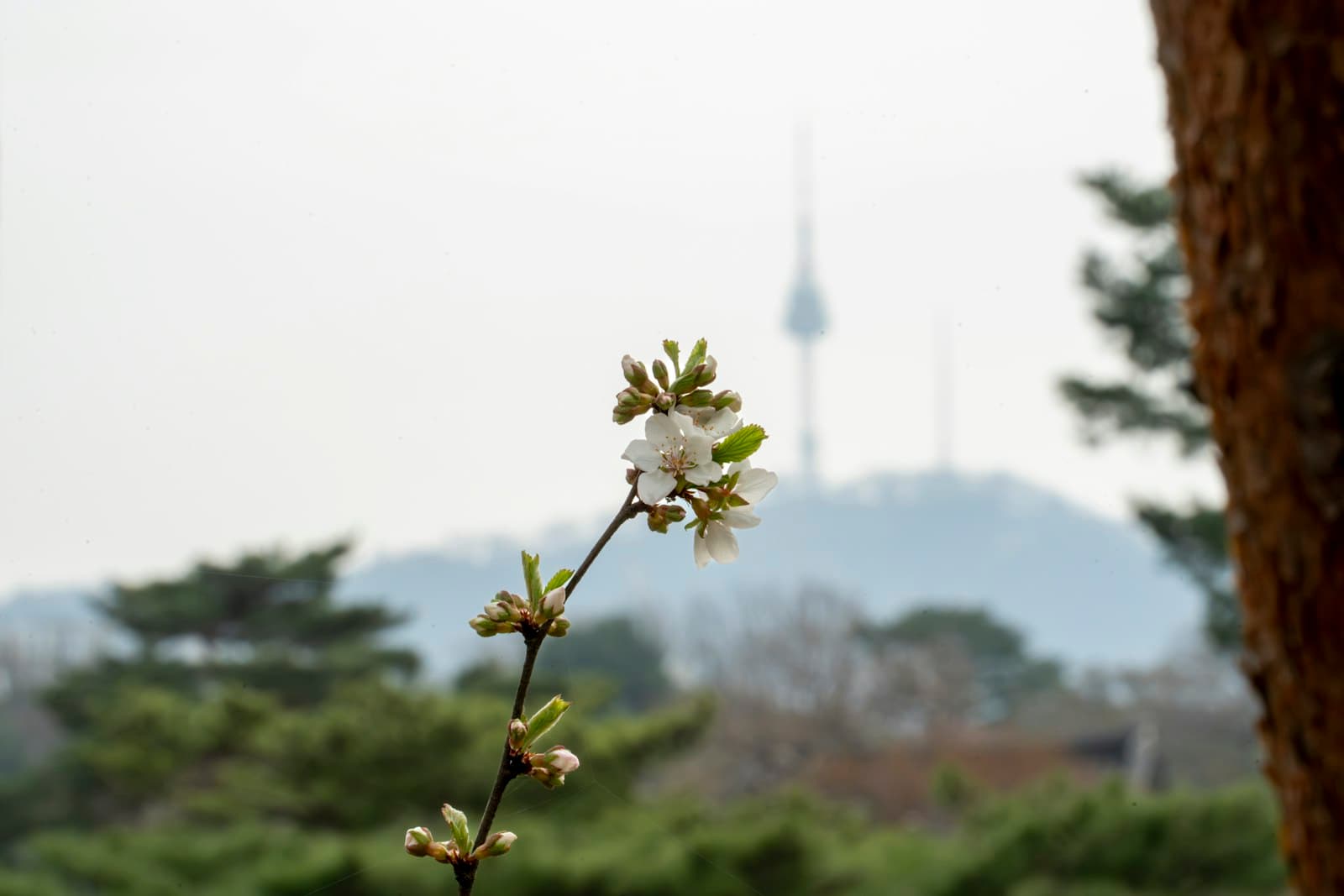 남산공원