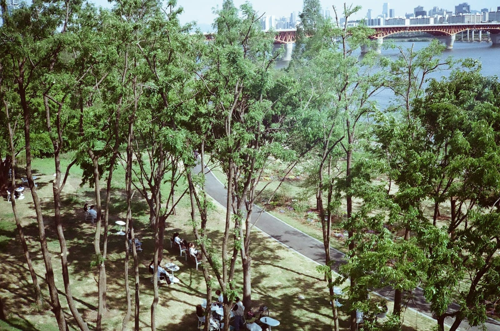 Seoul Forest
